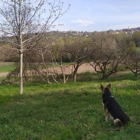 B&B Naturin - Cascina Colombaro Lauriano Eksteriør bilde