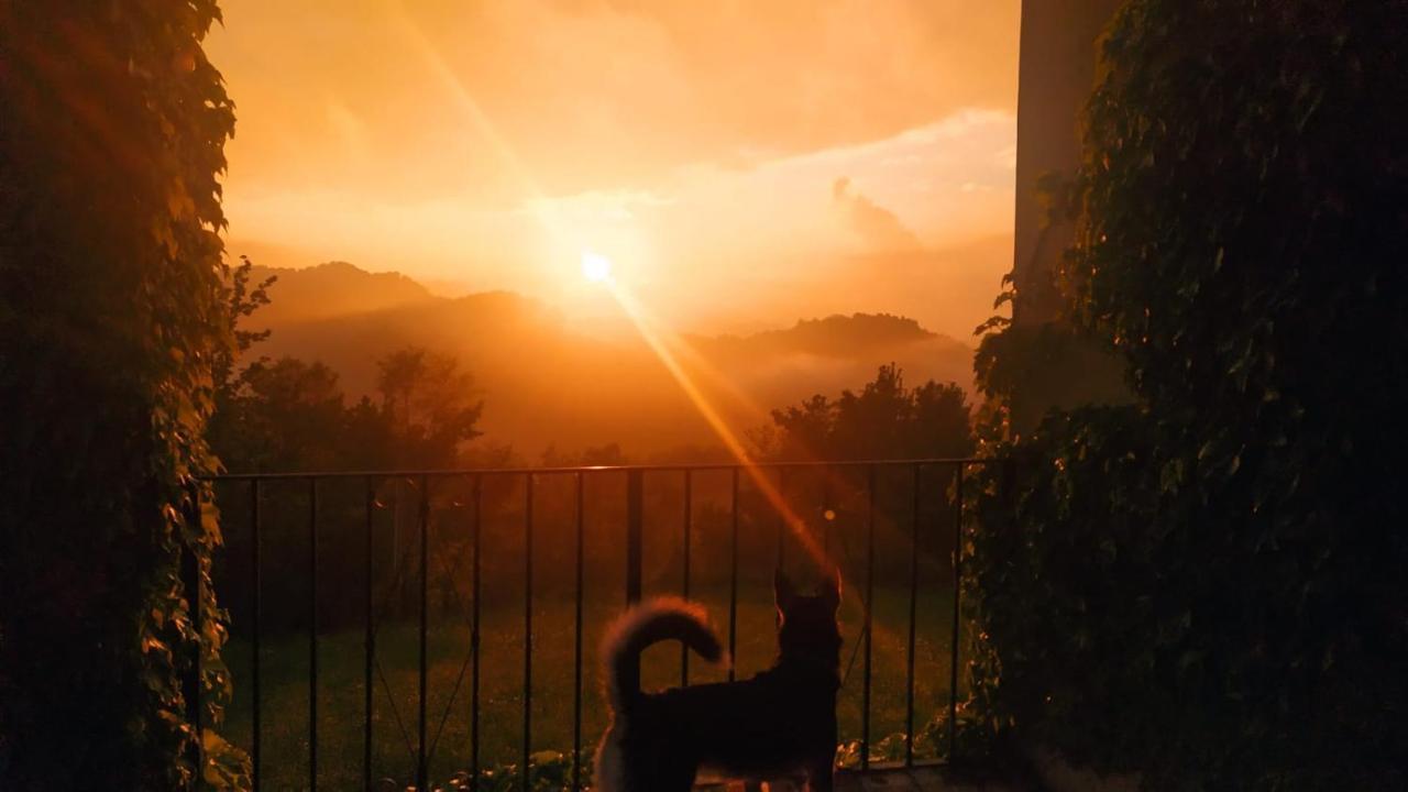 B&B Naturin - Cascina Colombaro Lauriano Eksteriør bilde