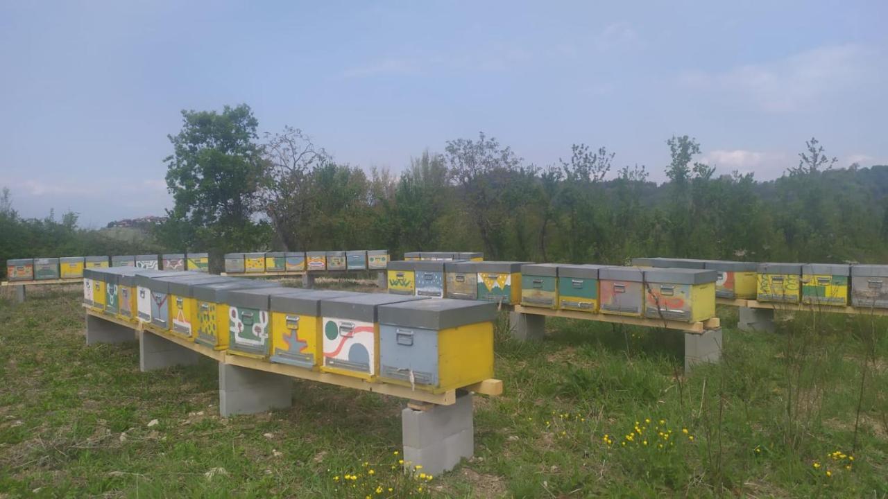 B&B Naturin - Cascina Colombaro Lauriano Eksteriør bilde