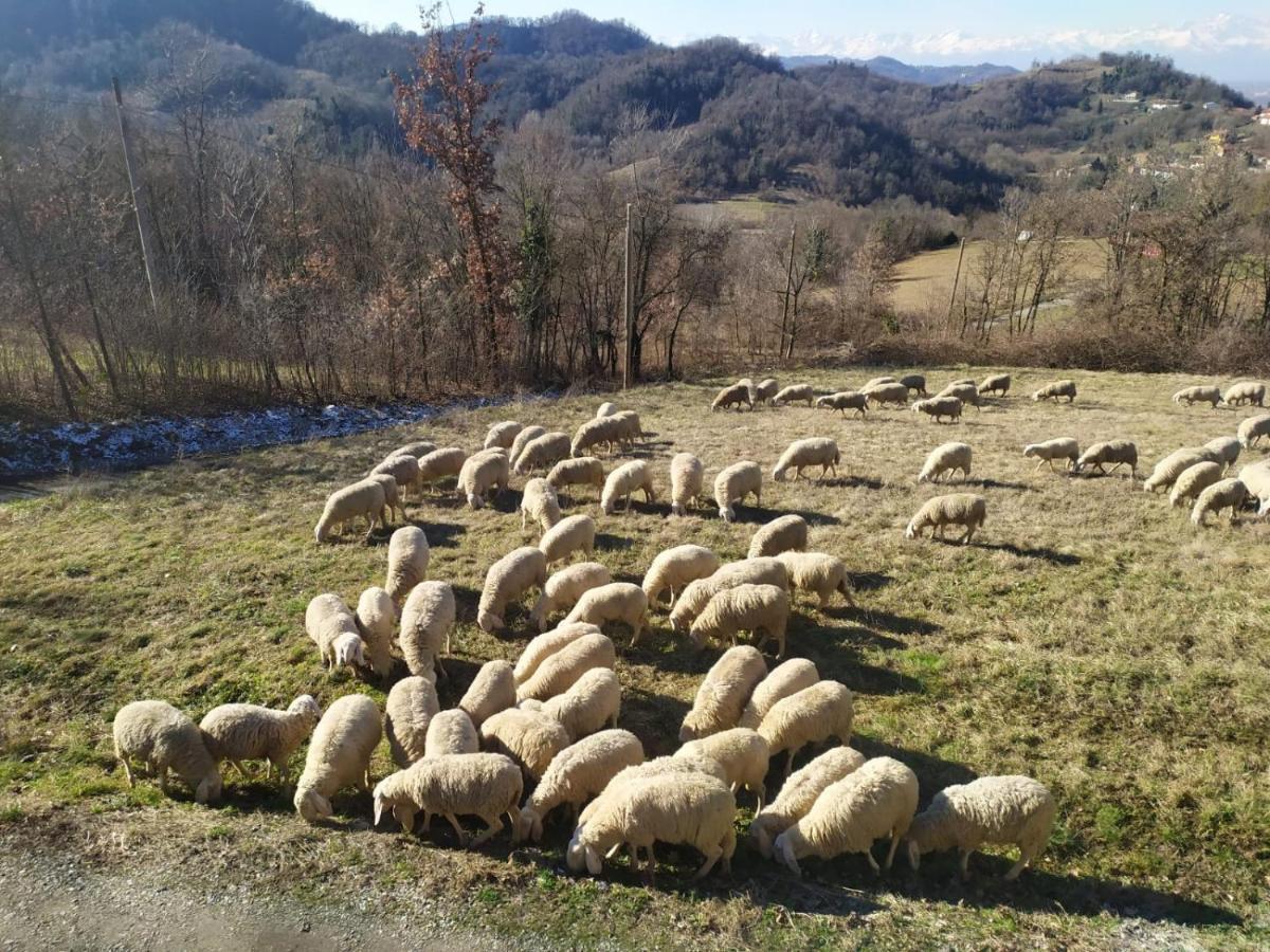 B&B Naturin - Cascina Colombaro Lauriano Eksteriør bilde